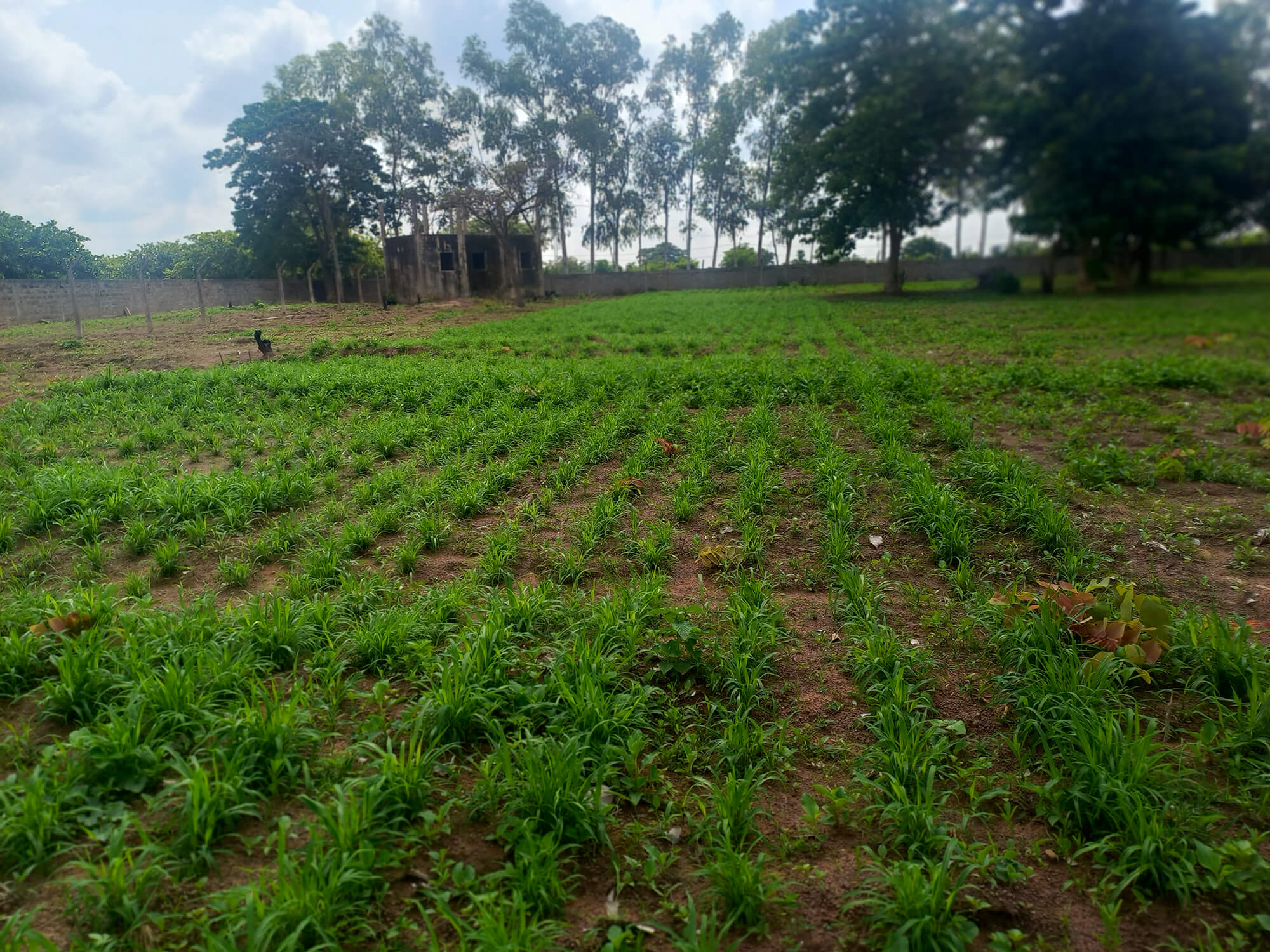 LE PROJET MECAWAT