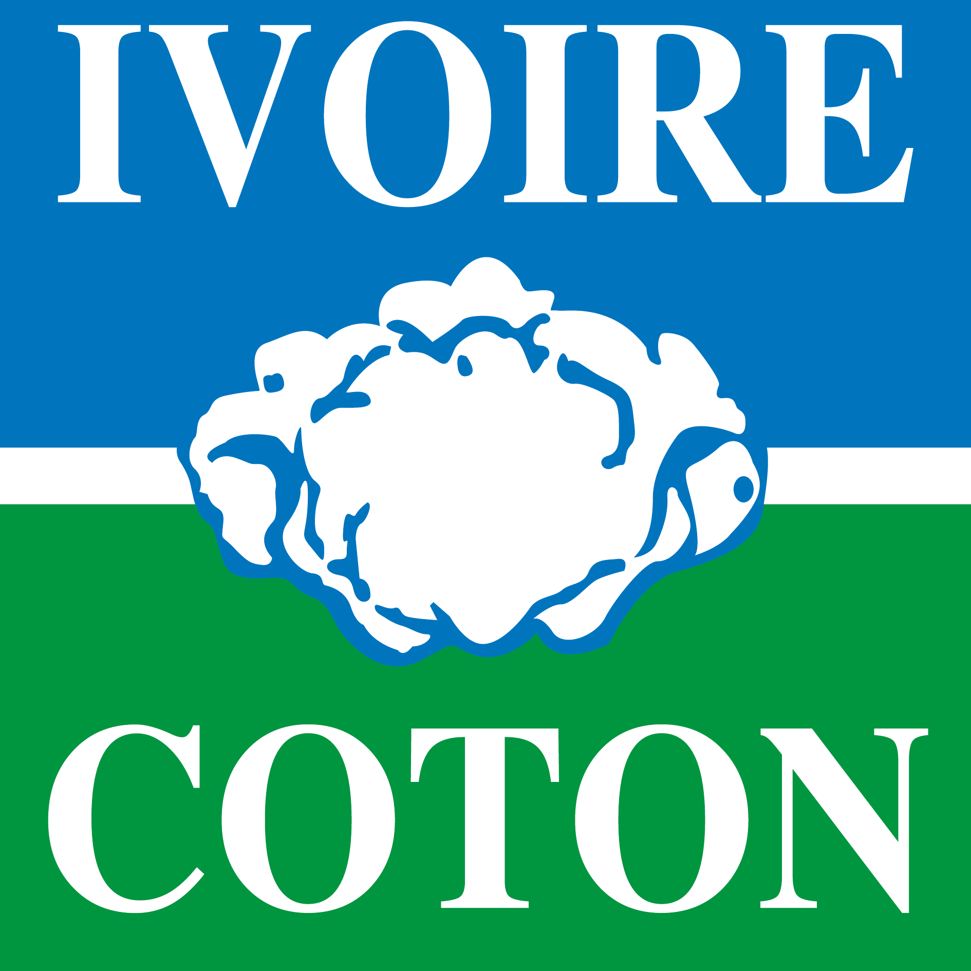 La culture de l'or blanc